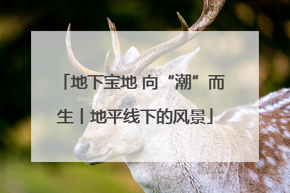 地下宝地 向“潮”而生丨地平线下的风景
