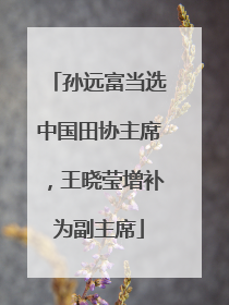 孙远富当选中国田协主席，王晓莹增补为副主席