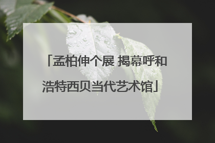 孟柏伸个展 揭幕呼和浩特西贝当代艺术馆