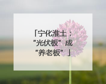 宁化淮土：“光伏板”成“养老板”