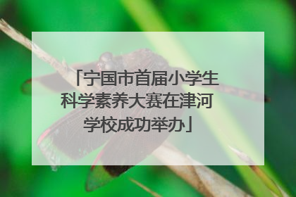 宁国市首届小学生科学素养大赛在津河学校成功举办