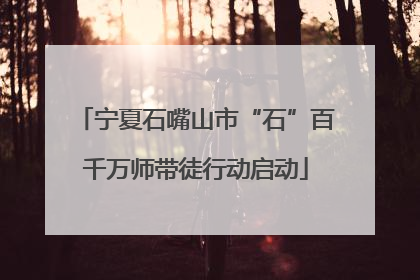 宁夏石嘴山市“石”百千万师带徒行动启动