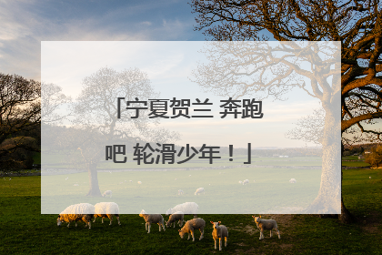 宁夏贺兰 奔跑吧 轮滑少年！
