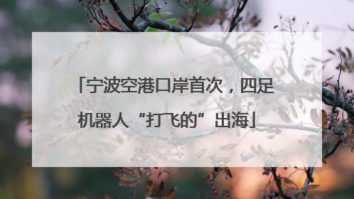 宁波空港口岸首次，四足机器人“打飞的”出海