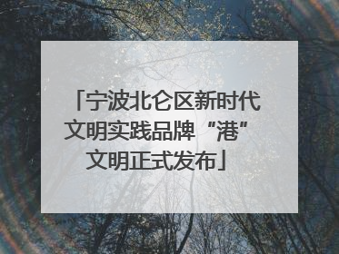 宁波北仑区新时代文明实践品牌“港”文明正式发布