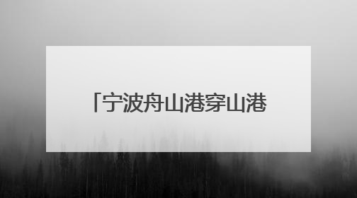 宁波舟山港穿山港区让AI算力既懂业务又能决策 20年的数据“喂”出更聪明的港口