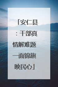 安仁县：干部真情解难题一面锦旗映民心