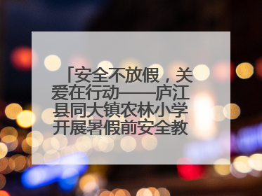 安全不放假，关爱在行动——庐江县同大镇农林小学开展暑假前安全教育大家访