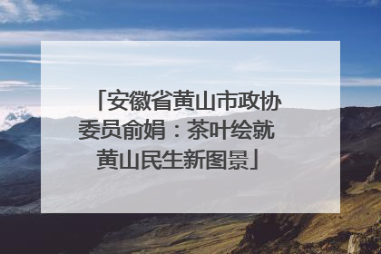 安徽省黄山市政协委员俞娟：茶叶绘就黄山民生新图景