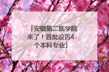 安徽第二医学院来了！首批设置4个本科专业