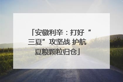 安徽利辛：打好“三夏”攻坚战 护航夏粮颗粒归仓