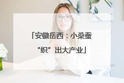 安徽岳西：小桑蚕“织”出大产业