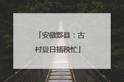安徽黟县：古村夏日插秧忙