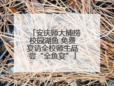 安庆师大捕捞校园湖鱼 免费宴请全校师生品尝“全鱼宴”