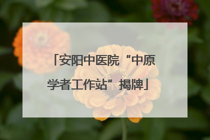 安阳中医院“中原学者工作站”揭牌