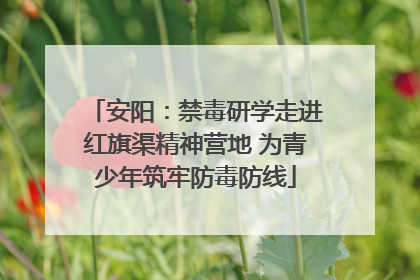 安阳：禁毒研学走进红旗渠精神营地 为青少年筑牢防毒防线