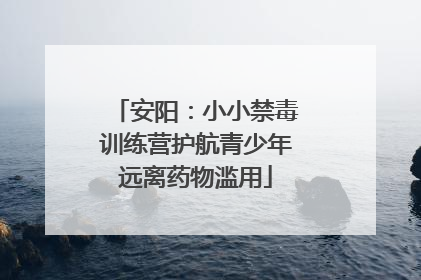 安阳：小小禁毒训练营护航青少年远离药物滥用