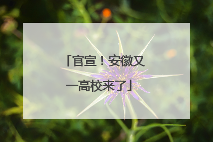 官宣！安徽又一高校来了