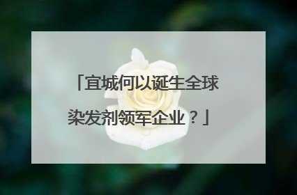 宜城何以诞生全球染发剂领军企业？