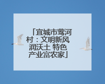 宜城市莺河村：文明新风润沃土 特色产业富农家
