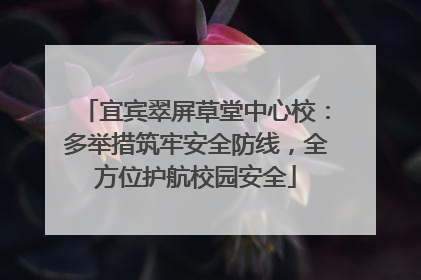 宜宾翠屏草堂中心校：多举措筑牢安全防线，全方位护航校园安全