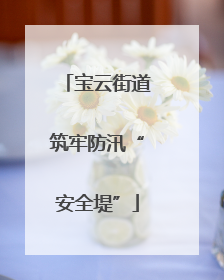 宝云街道筑牢防汛“安全堤”