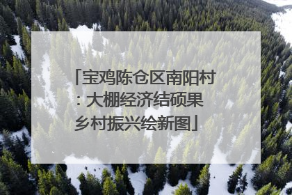 宝鸡陈仓区南阳村：大棚经济结硕果 乡村振兴绘新图
