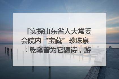 实探山东省人大常委会院内“宝藏”珍珠泉：乾隆曾为它题诗，游客无需预约免费游览