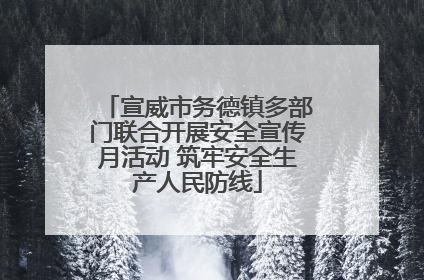 宣威市务德镇多部门联合开展安全宣传月活动 筑牢安全生产人民防线