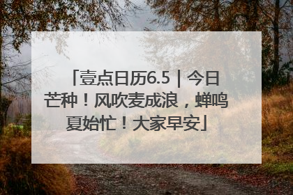 壹点日历6.5｜今日芒种！风吹麦成浪，蝉鸣夏始忙！大家早安
