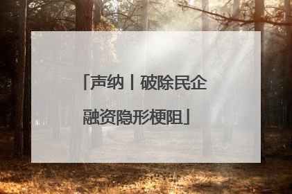 声纳丨破除民企融资隐形梗阻