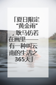 夏日限定“黄金雨”，耿马仿若在画里——有一种叫云南的生活之365天