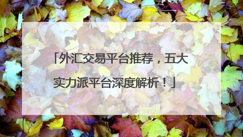 外汇交易平台推荐，五大实力派平台深度解析！