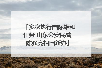 多次执行国际维和任务 山东公安民警陈强亮相国新办