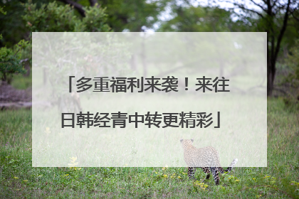 多重福利来袭！来往日韩经青中转更精彩