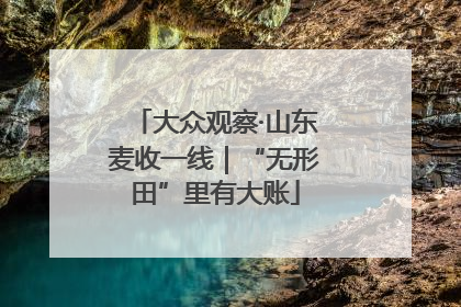 大众观察·山东麦收一线｜“无形田”里有大账