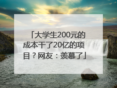 大学生200元的成本干了20亿的项目？网友：羡慕了