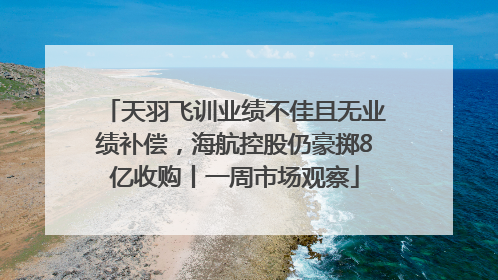 天羽飞训业绩不佳且无业绩补偿，海航控股仍豪掷8亿收购丨一周市场观察
