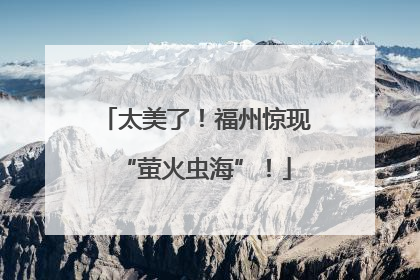 太美了！福州惊现“萤火虫海”！