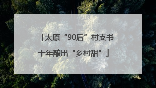 太原“90后”村支书十年酿出“乡村甜”