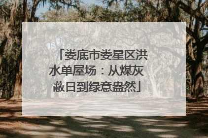 娄底市娄星区洪水单屋场：从煤灰蔽日到绿意盎然