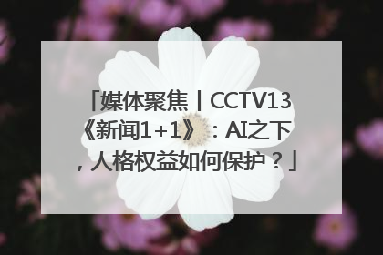 媒体聚焦丨CCTV13《新闻1+1》：AI之下，人格权益如何保护？