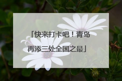 快来打卡吧！青岛再添三处全国之最