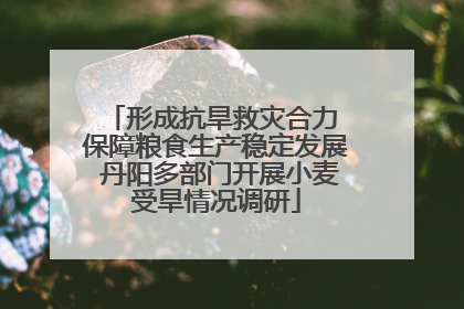 形成抗旱救灾合力 保障粮食生产稳定发展 丹阳多部门开展小麦受旱情况调研