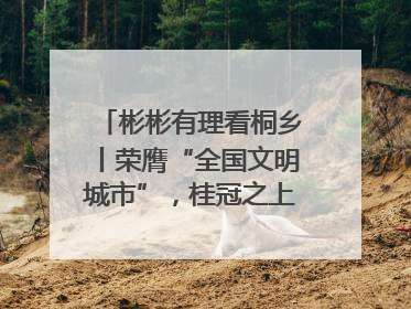 彬彬有理看桐乡丨荣膺“全国文明城市”，桂冠之上刻着一种追求
