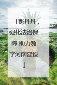 彭丹丹：强化法治保障 助力数字河南建设