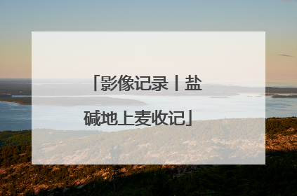 影像记录丨盐碱地上麦收记