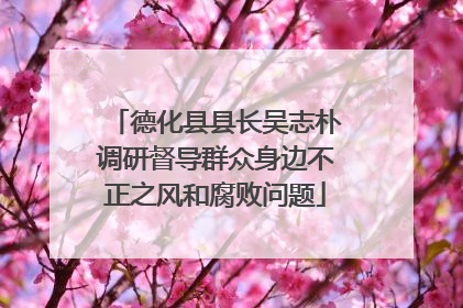 德化县县长吴志朴调研督导群众身边不正之风和腐败问题