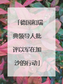德国和瑞典领导人批评以军在加沙的行动