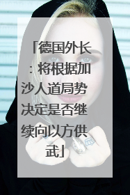 德国外长：将根据加沙人道局势决定是否继续向以方供武